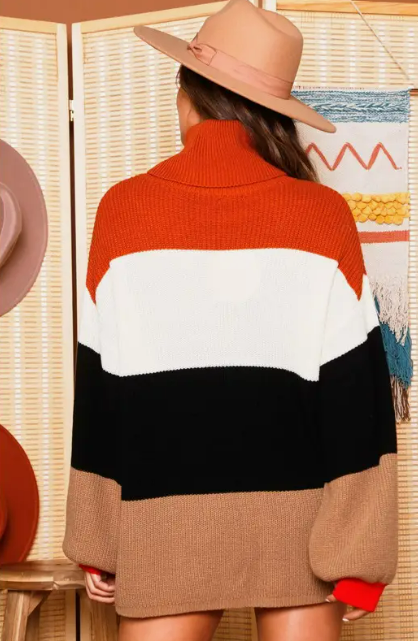 Multi Stripe Turtle Neck Sweater